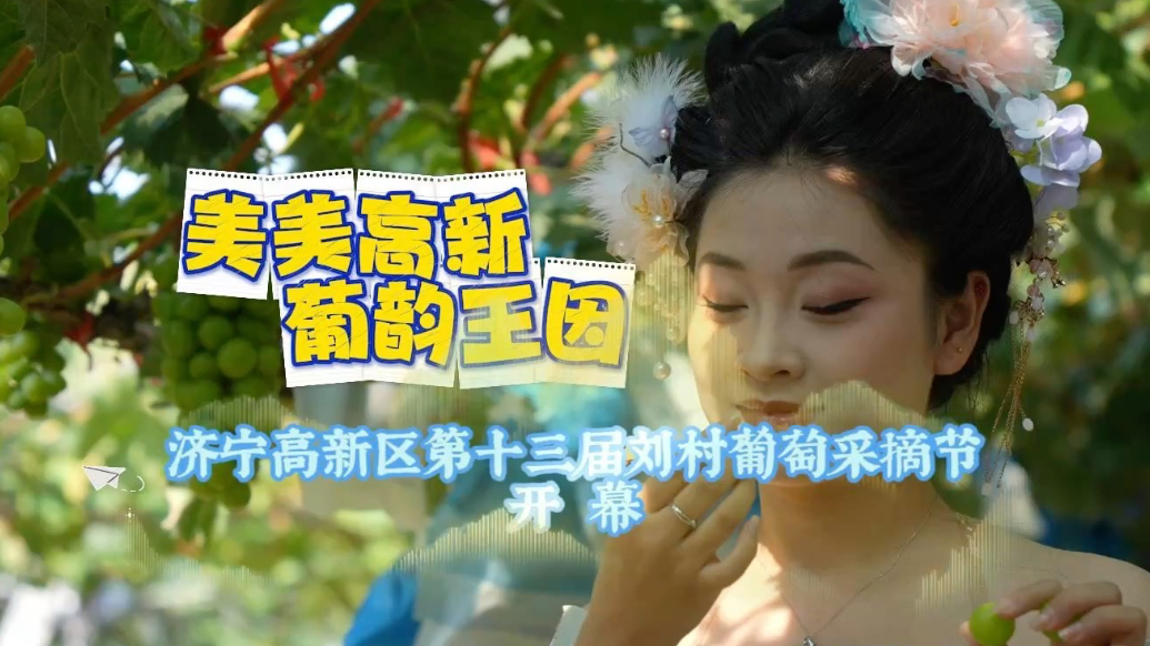 果然视频|济宁高新区第十三届刘村葡萄采摘节开幕