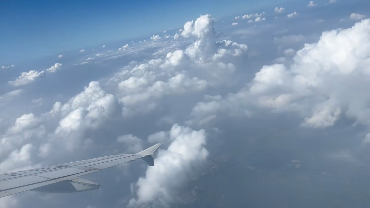 雄鹰穿梭在蓝天白云间.摄影刘梓浩