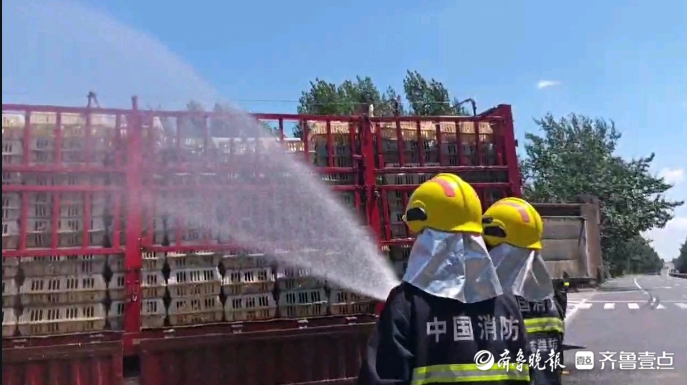 果然视频|货车抛锚致一车活鸭“中暑”，消防员到场喷淋作业
