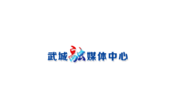 大征体育 VS 元浩门窗 66：84