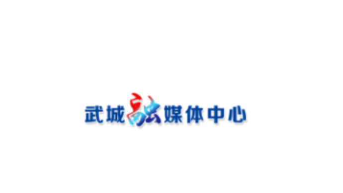 护航赛事 守护观赛平安