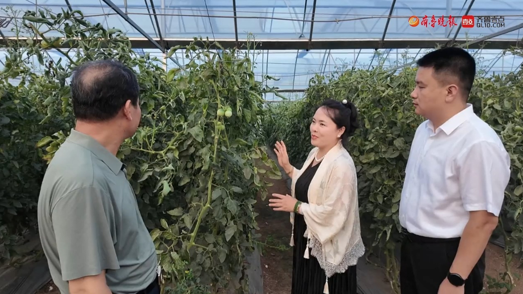 果然视频|安丘金融精准赋能，打造现代农业发展新样板