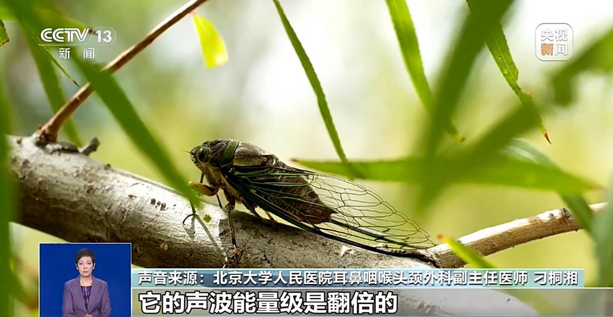 图片加载失败