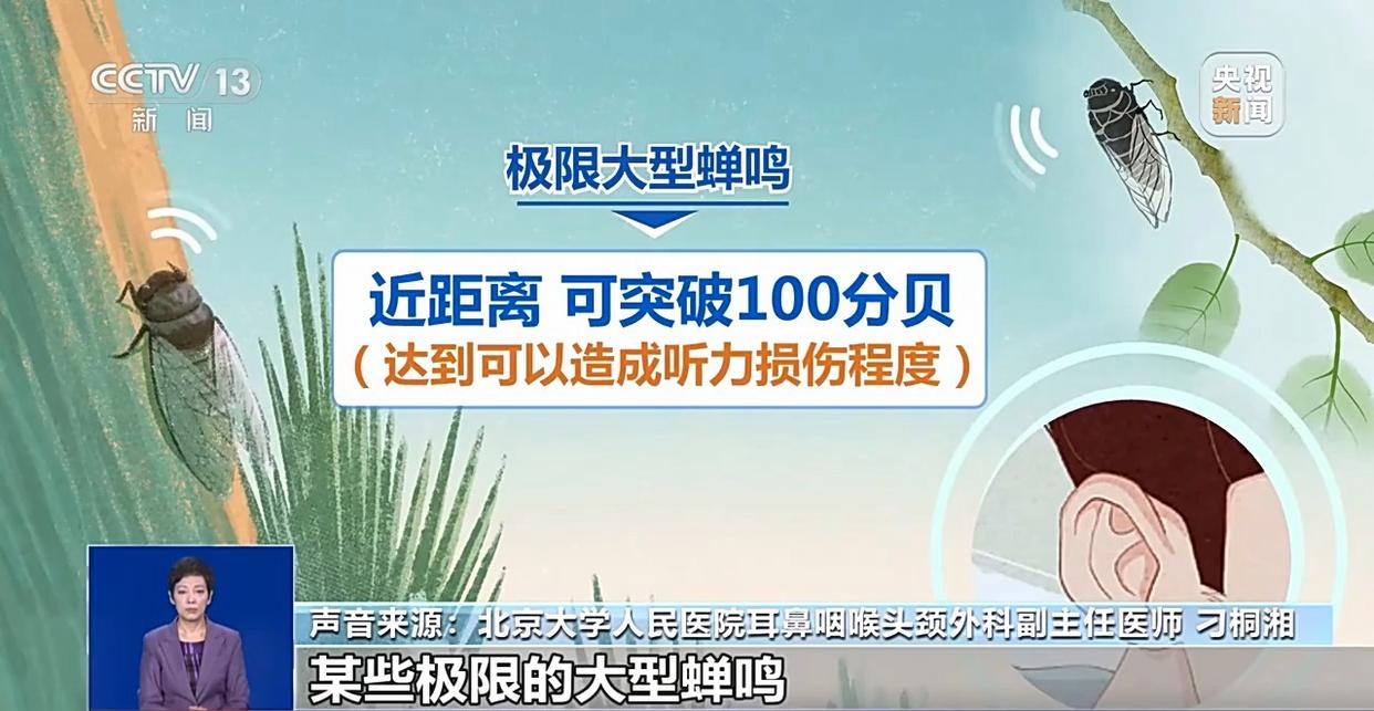 图片加载失败