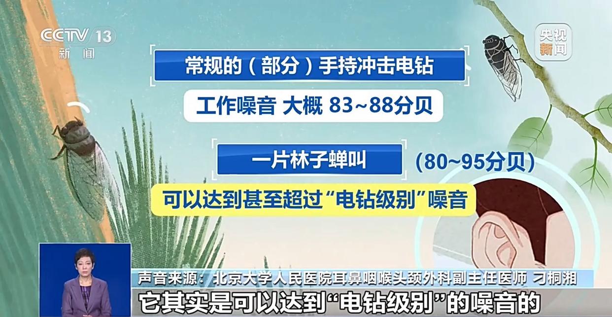 图片加载失败