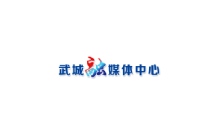 亚宸机电VS刘伟篮球 85：47＃武城