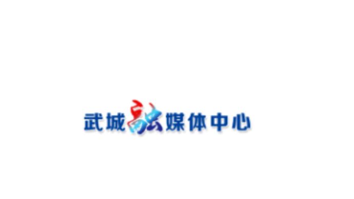 魅力武BA——场上场下都精彩