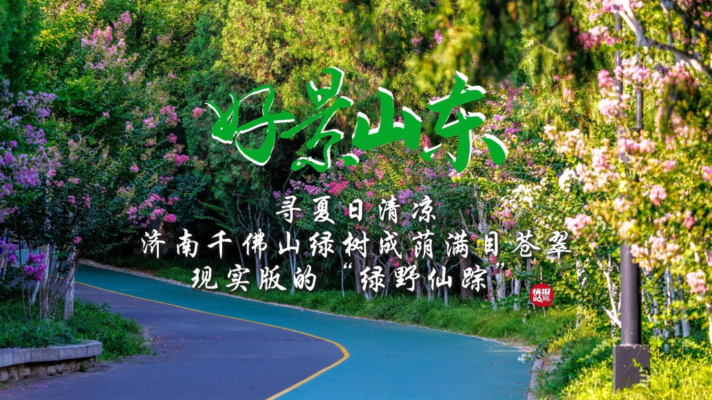 果然视频·好景山东|寻夏日清凉！济南千佛山绿树成荫满目苍翠