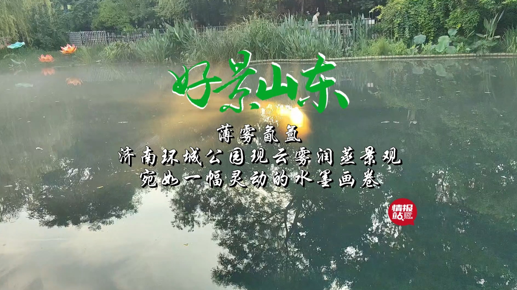 果然视频·好景山东|济南环城公园现云雾润蒸景观，宛若灵动画卷