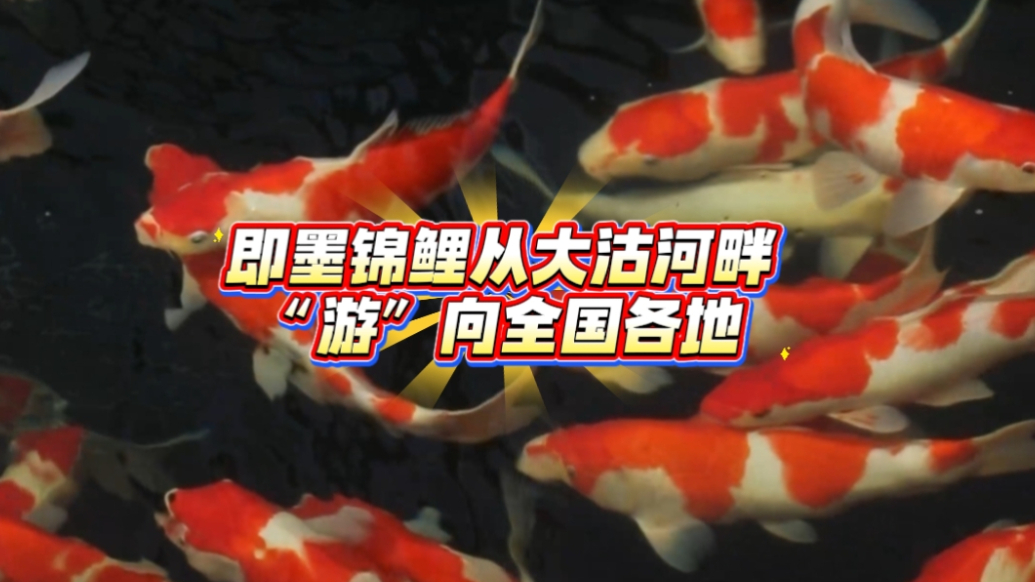 专题丨好品青岛