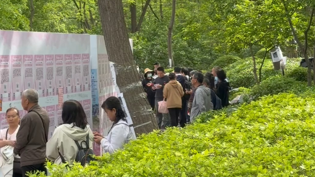 果然视频|你的TA可能就在现场！千佛山相亲大会报名倒计时2天