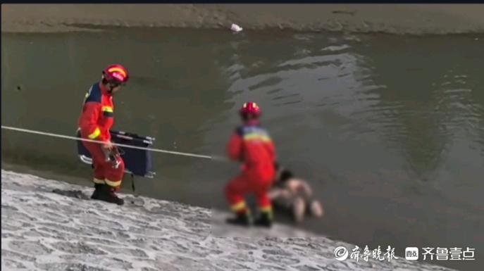 果然视频|夫妻俩被困河边，消防员悬绳施救