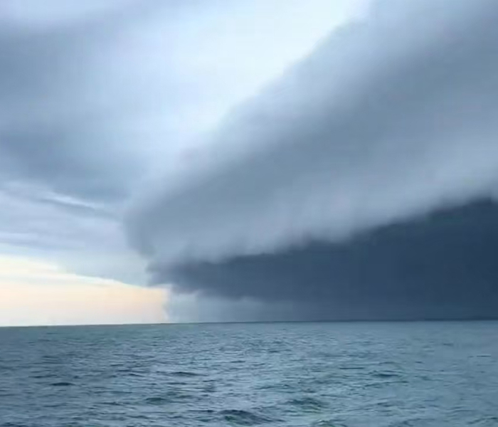 今年第13号台风“白海豚”正在逼近我国，即将在我国浙闽沿海登陆，中央气象台今天（8月9日）上午10时发布台风红色预警。一起关注台风最新动向和各地应对措施。