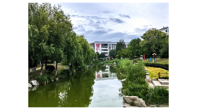 美丽青岛：丁家河公园，你在等浪漫，我在等你