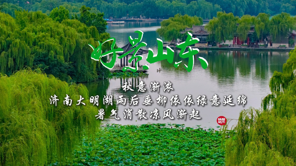 果然视频·好景山东|济南大明湖雨后绿意延绵，暑气消散凉风渐起