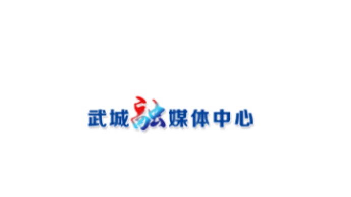 精准服务“解难点” 营商环境“助腾飞”