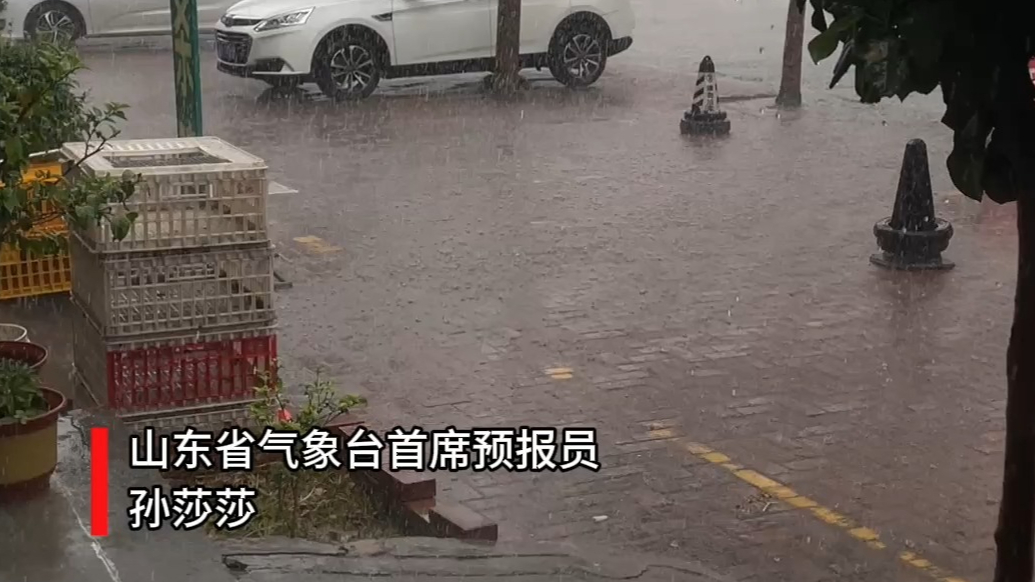 天气情报站|台风“白海豚”主要影响山东哪些城市？专家为您解读