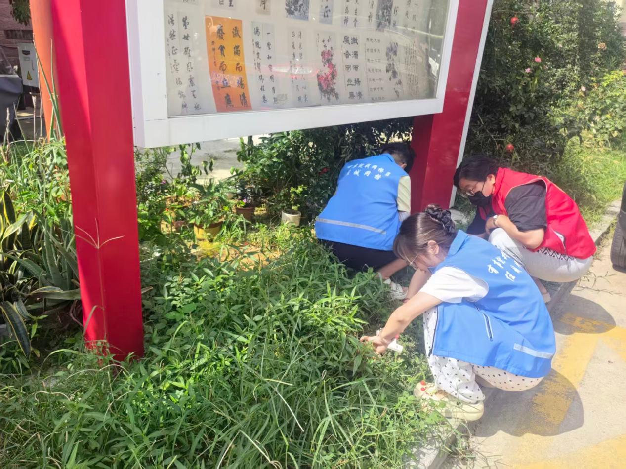 无水印2