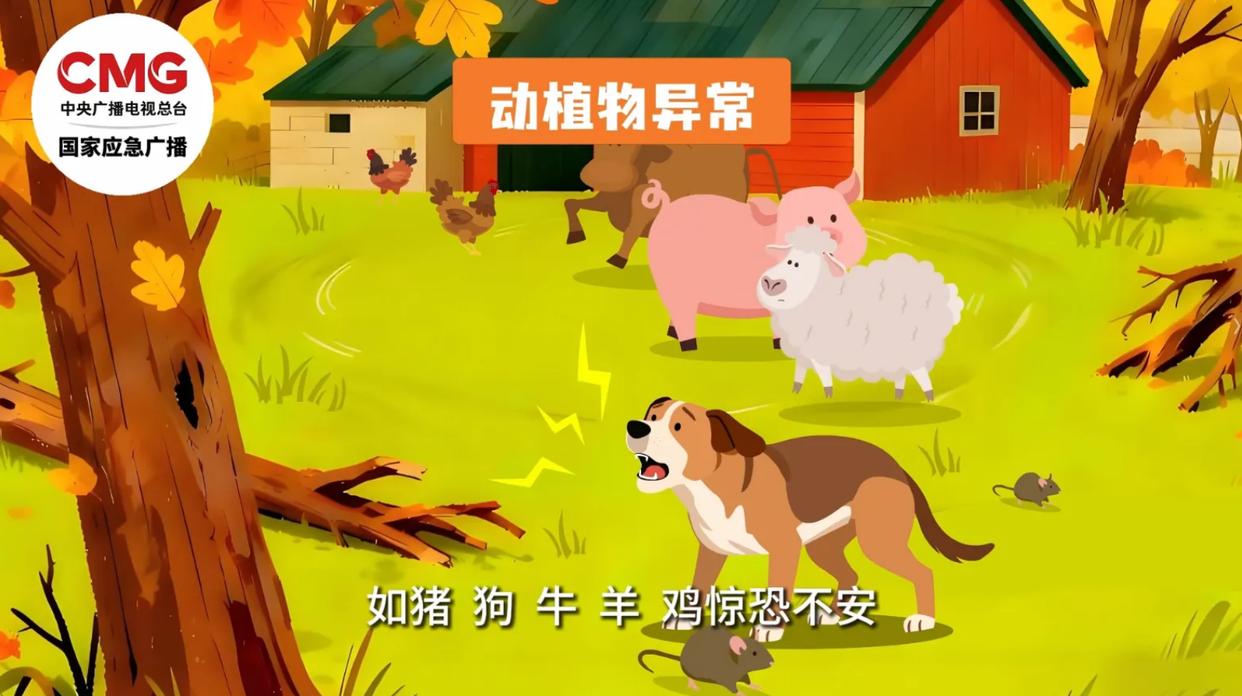 图片加载失败