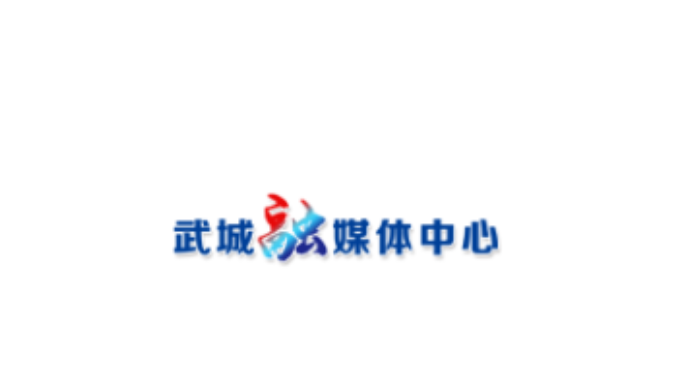 武城汛期安全升级！双频探地雷达车扫过，堤坝“病灶”一目了然！