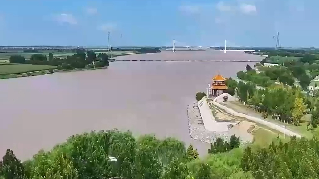 大河之畔 绿满齐鲁