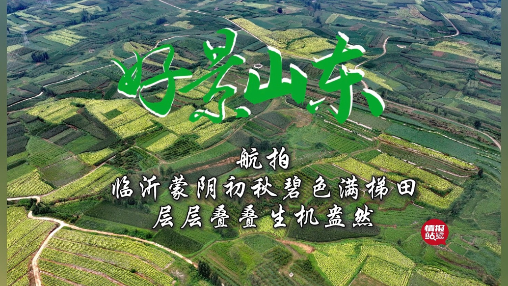 果然视频·好景山东|临沂蒙阴初秋碧色满梯田，层层叠叠生机盎然