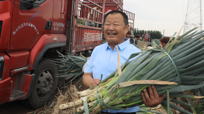 山东茌平：实干村书记村民致富带头人崔岩忠