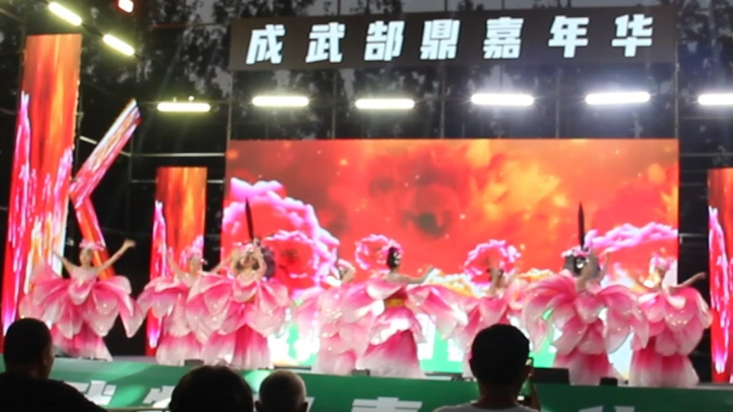 成武郜鼎嘉年华开始啦,吃喝玩乐，在这里嗨起来