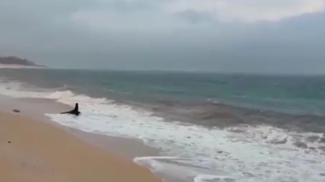 热带风暴“拉拉”增强为一级飓风