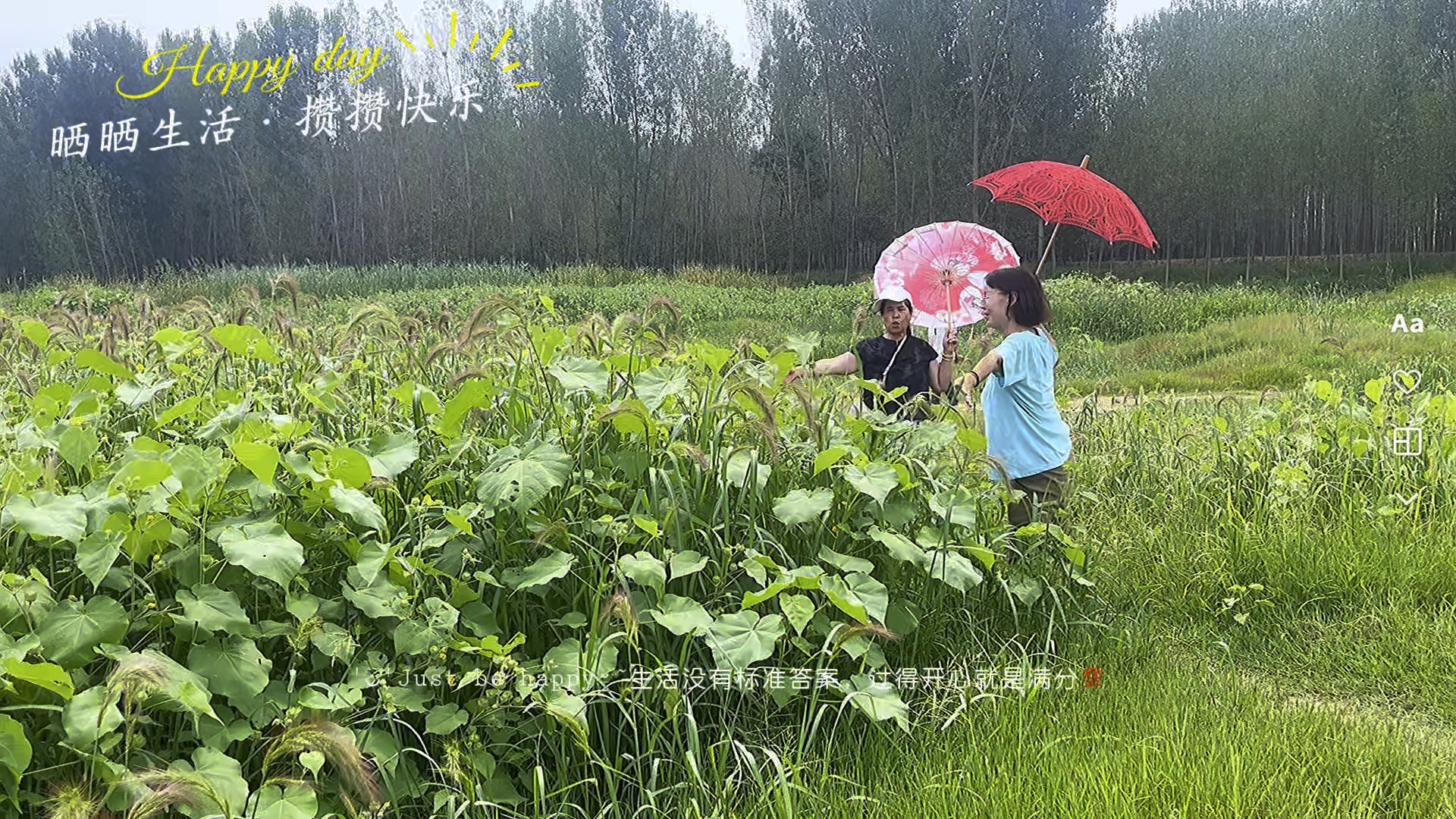 大汶口畔绿色的家园，让我们活回快乐的童年.摄影岱岳疏影