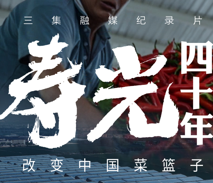 习近平总书记指出，“菜篮子”“米袋子”“果盘子”事关民生福祉。“十五五”规划、2026年中央一号文件均提出推进设施农业、促进菜篮子产业提质增效的要求。
从1986年寿光扩建九巷蔬菜批发市场、以流通激活生产算起，四十年间寿光成长为“中国蔬菜之乡”，年产量450万吨，模式辐射全国。
齐鲁晚报·齐鲁壹点记者从田间走到流通一线，推出《寿光四十年·改变中国菜篮子》系列报道，见证菜篮子从保供到提质的时代转变。