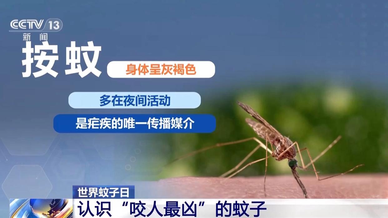 图片加载失败