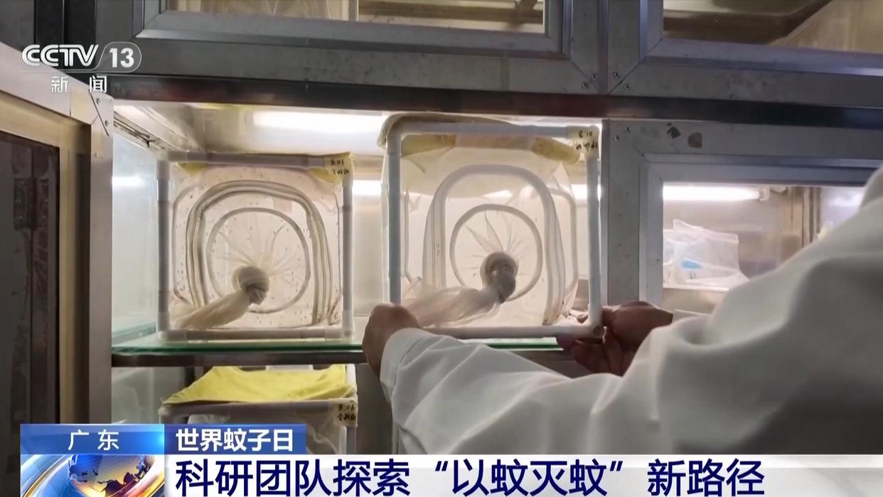 图片加载失败