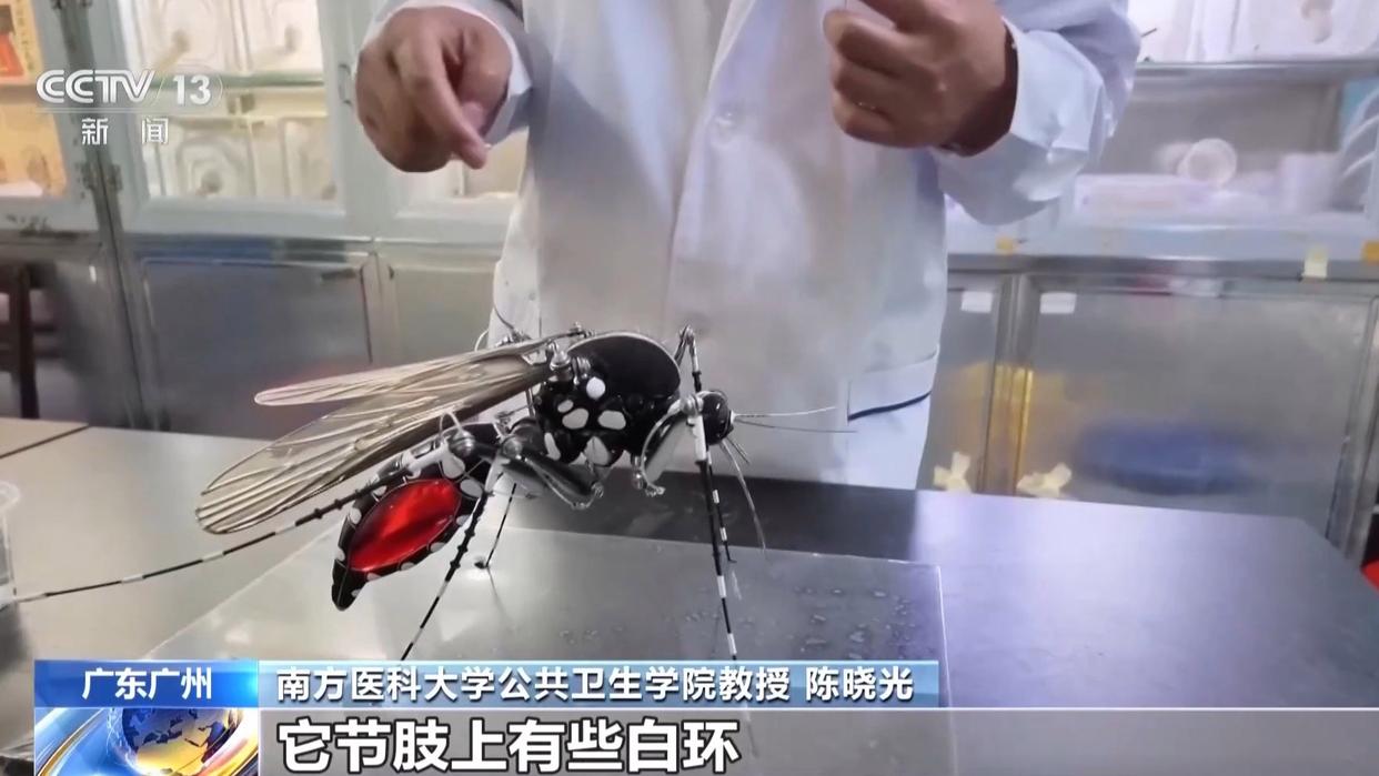图片加载失败