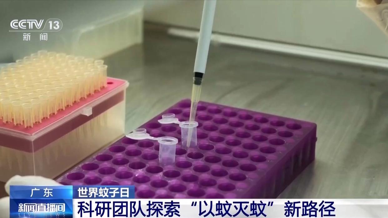 图片加载失败