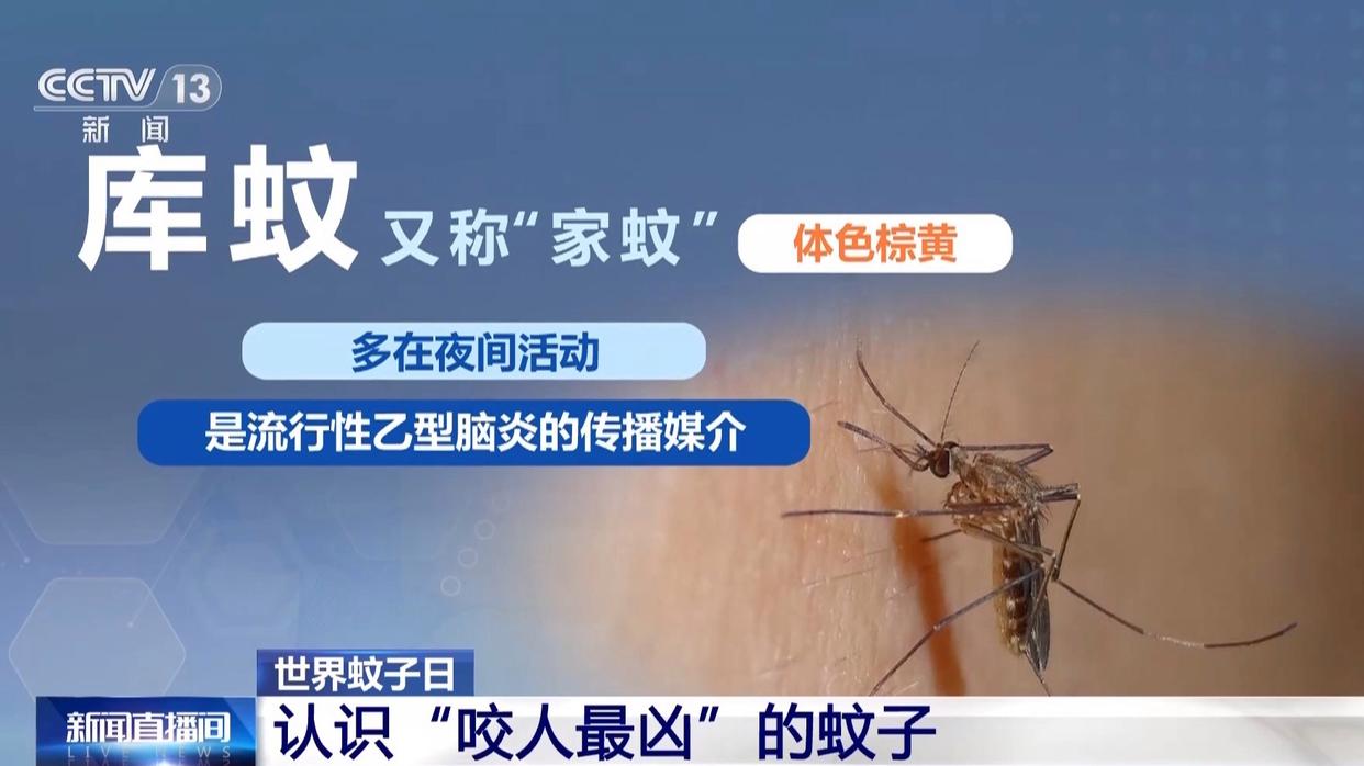 图片加载失败
