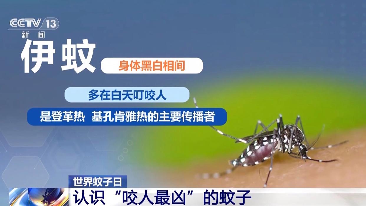 图片加载失败