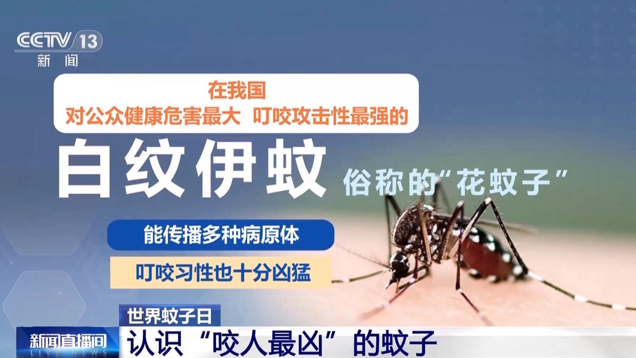 图片加载失败