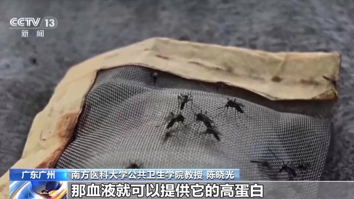 图片加载失败