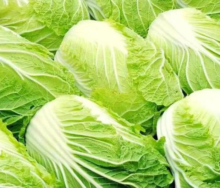 8月22日,有博主发视频反映,河北张家口康保县部分白菜收购商违规使用甲醛溶液保鲜。当天,当地发布通报称,已对相关人员、车辆依法采取强制措施,同时对涉事白菜流向进行紧急追溯。23日,国务院食安办、农业农村部、市场监管总局指导地方快速处置“白菜收购环节蘸取甲醛溶液”问题。