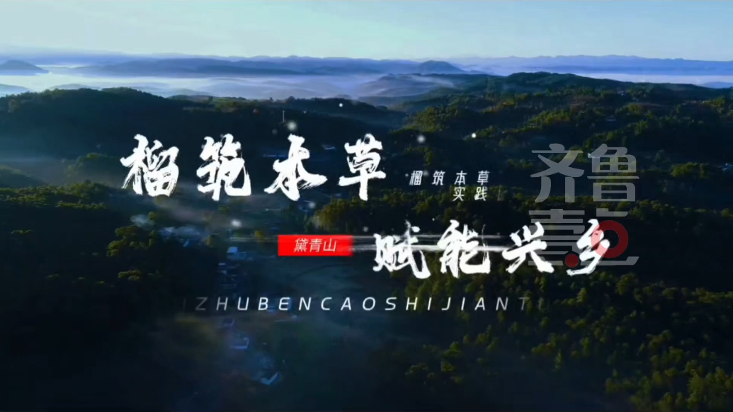 走进淄博黛青山，榴筑本草实践团以专业所学赋能乡村振兴