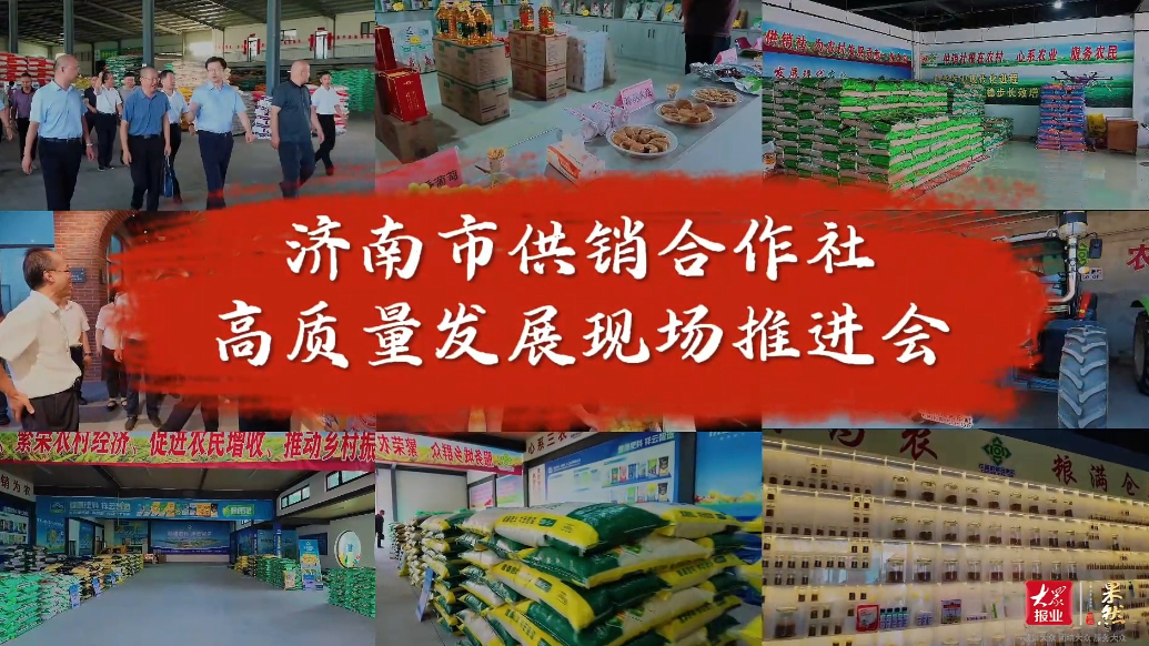果然视频｜济南市供销合作社高质量发展现场推进会在商河召开