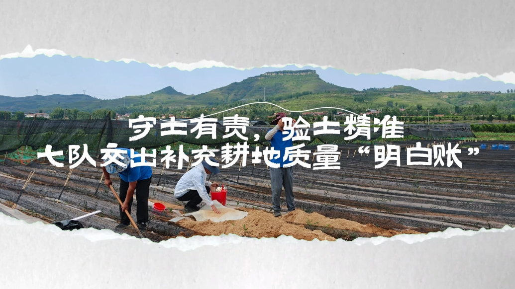 果然视频|省地矿七队交出补充耕地质量“明白账