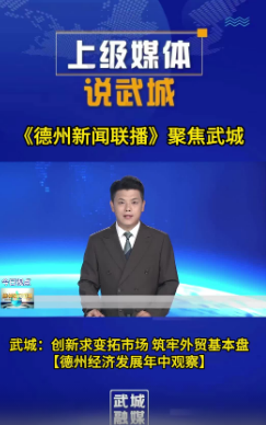 武城:创新求变拓市场 筑牢外贸基本盘