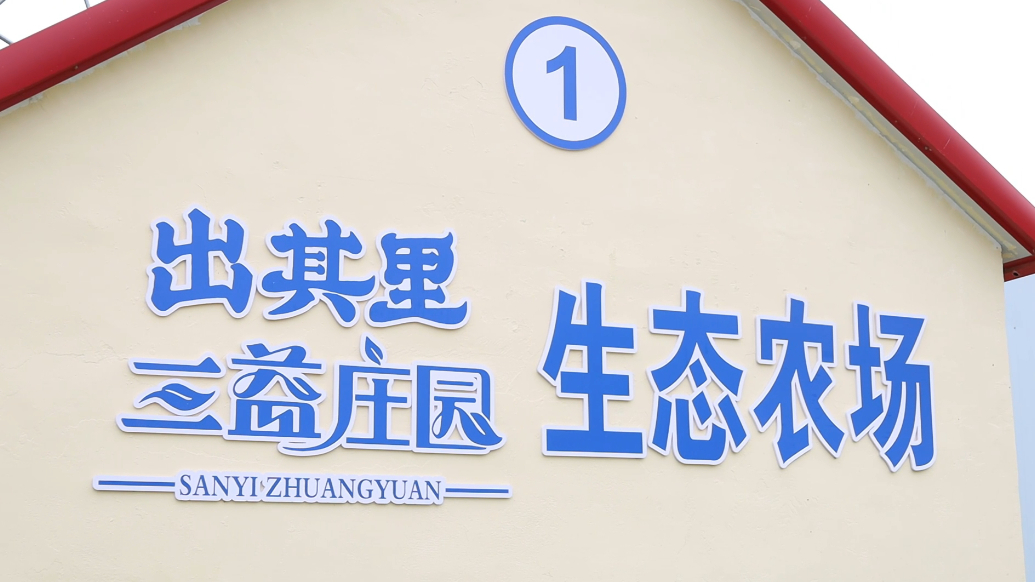 果然视频丨“保险+”激活产业附加值，紫金保险为农业发展添底气