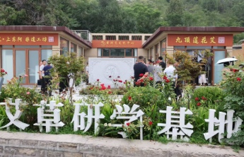 九村育九品，20公里乡村振兴路串起产业“共富链”