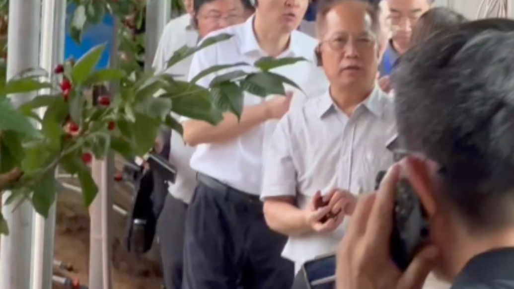 果然视频|个大口感好，单颗卖到25元，来客：比智利进口的还好