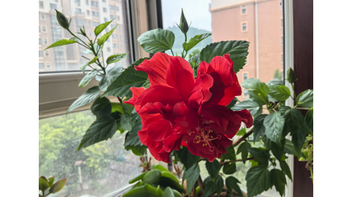 美丽有约|看你千遍也不厌倦