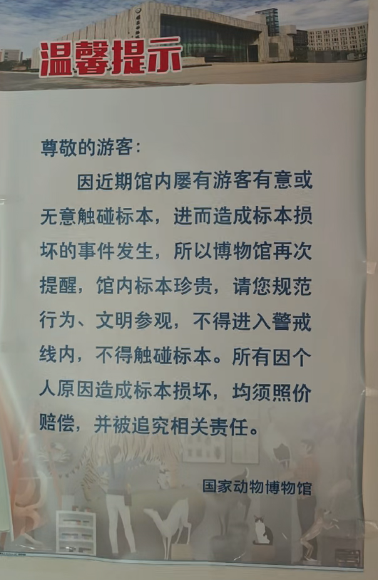 图片加载失败