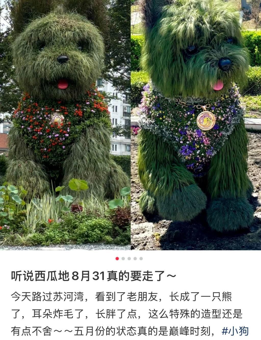 图片加载失败